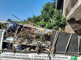 Shed Removal in Albany, WI