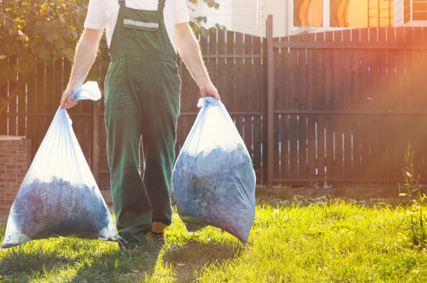 Best Shed Removal  in Albany, WI